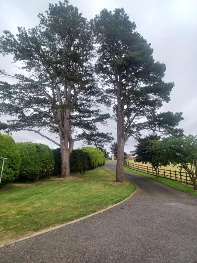 Appartamento Loughview Retreat In The Mournes Newcastle  Esterno foto