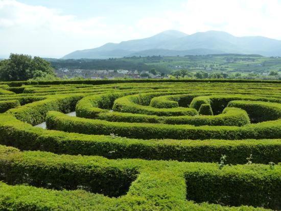Appartamento Loughview Retreat In The Mournes Newcastle  Esterno foto